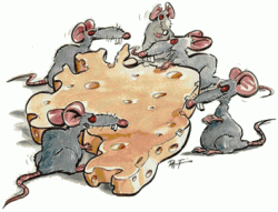 Ratus rondonius