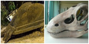 Separados em algum parque jurássico. Olhem a semelhança nos dentes