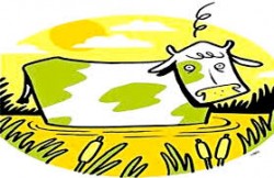 Vaca, em verde e amarelo, no brejo (Ilustra 3VV)