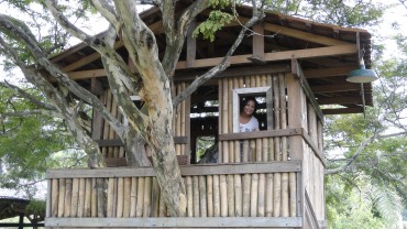 DSC07901