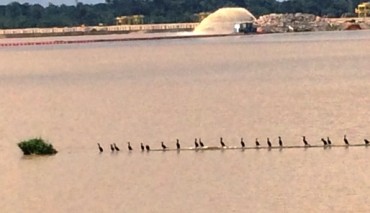 IMG_5876