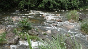 Rio Pequerê Açu Paraty (2)