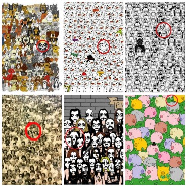 Pandas e trevos