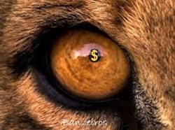 O Leão está de e-olho