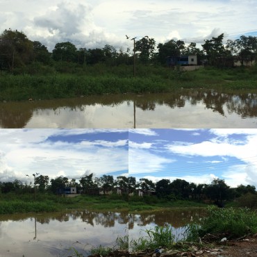 Ramal São Domingos. Montagem com urubus