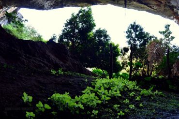 14051668_1004676676297980_659790749614208927_n