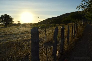 14054925_1004676202964694_6032169451556217715_n