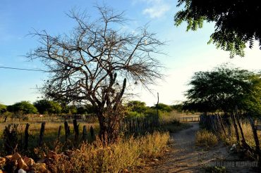 14054935_1004676139631367_6673972762125310306_n