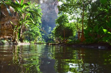 14063729_1004676462964668_7667860389046589430_n