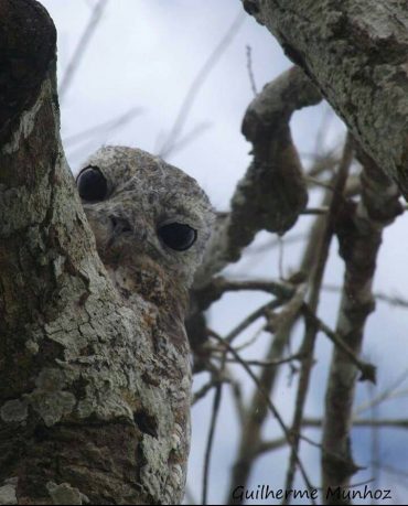 14063926_1004675979631383_4867876971046693847_n